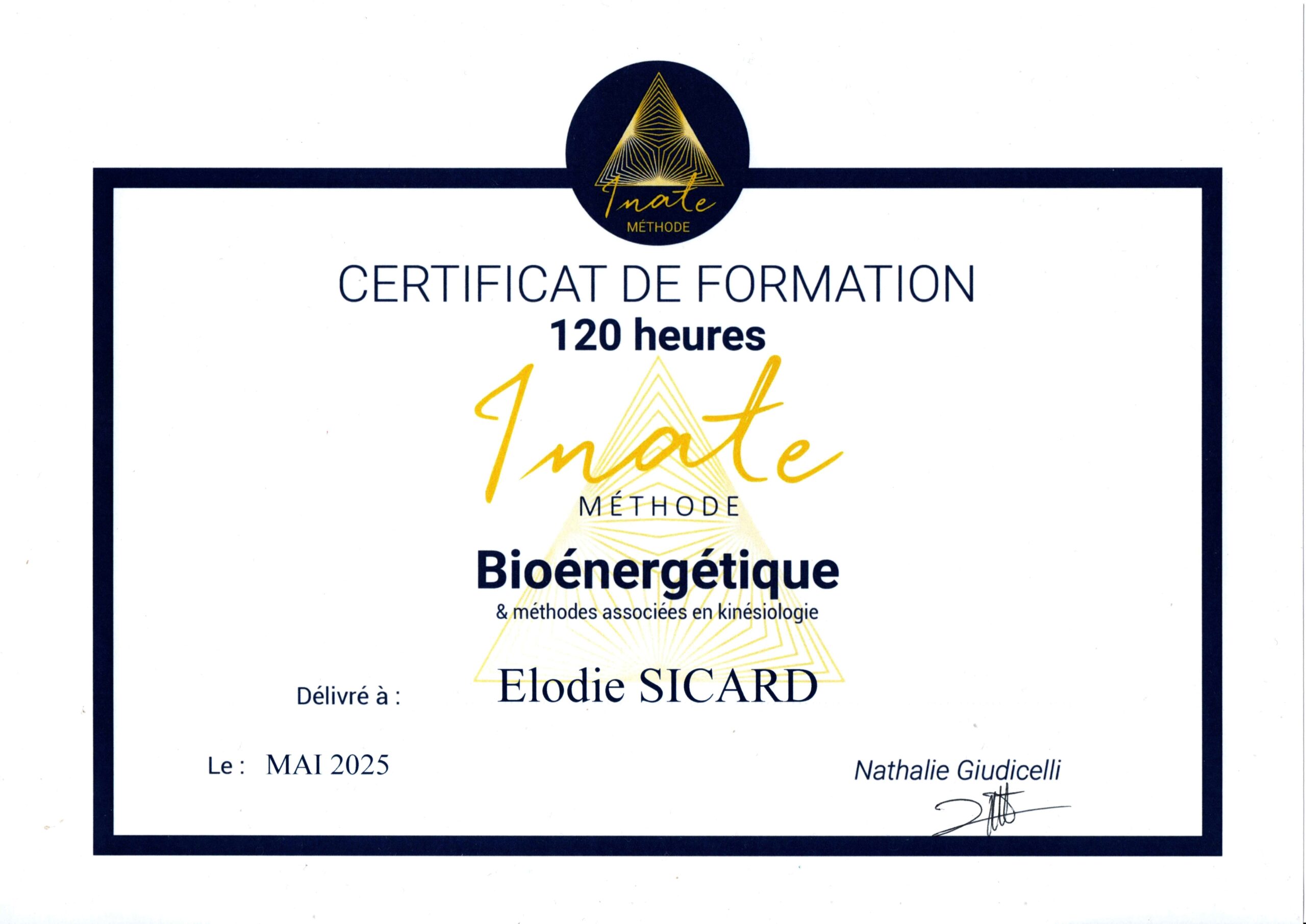 certificat professionnel Bioénergie et méthodes associées en kinésiologie_pages-to-jpg-0001